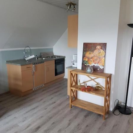 Ferienbeianne Apartment Hemmingstedt Екстериор снимка