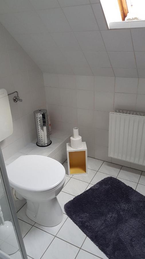 Ferienbeianne Apartment Hemmingstedt Екстериор снимка